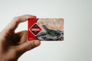 Premium Credit Cards: Are Annual Fees Worth the Perks