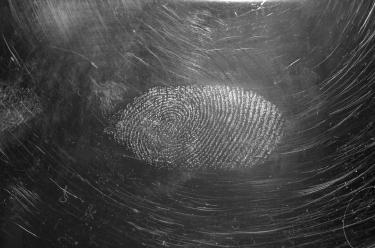 Biometric Credit Card Authentication Reaches 50% Adoption Rate
